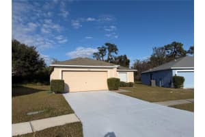 11701 BRENFORD CREST DRIVE, RIVERVIEW, FL 33579 - MLS#MFRTB8463308