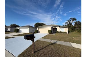 11701 BRENFORD CREST DRIVE, RIVERVIEW, FL 33579 - MLS#MFRTB8463308
