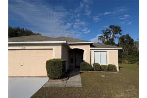 11701 BRENFORD CREST DRIVE, RIVERVIEW, FL 33579 - MLS#MFRTB8463308