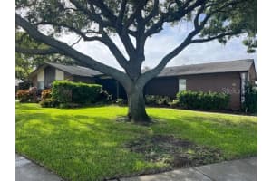 2842 HIGHLANDS BOULEVARD, PALM HARBOR, FL 34684 - MLS#MFRTB8463329