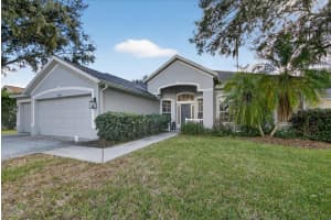 4423 MERRICK RUN LANE, VALRICO, FL 33596 - MLS#MFRTB8463340