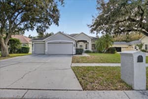 4423 MERRICK RUN LANE, VALRICO, FL 33596 - MLS#MFRTB8463340