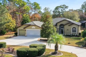 1 PLUMBAGO DRIVE, HOMOSASSA, FL 34446 - MLS#MFRTB8463369
