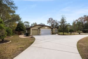 1 PLUMBAGO DRIVE, HOMOSASSA, FL 34446 - MLS#MFRTB8463369