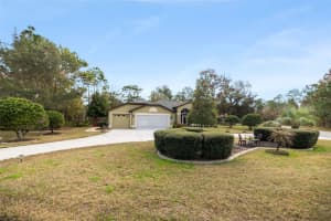 1 PLUMBAGO DRIVE, HOMOSASSA, FL 34446 - MLS#MFRTB8463369