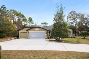 1 PLUMBAGO DRIVE, HOMOSASSA, FL 34446 - MLS#MFRTB8463369