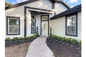11306 JIM COURT, RIVERVIEW, FL 33569 - MLS#MFRTB8463390