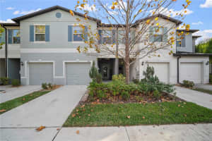 7621 Ginger Lily Ct, TAMPA