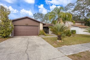 14841 OAK VINE DRIVE, LUTZ, FL 33559 - MLS#MFRTB8463408