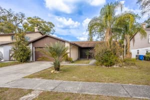 14841 OAK VINE DRIVE, LUTZ, FL 33559 - MLS#MFRTB8463408