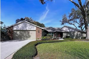 1618 MAGDALENE MANOR DRIVE, TAMPA, FL 33613 - MLS#MFRTB8463410