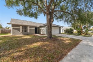 1615 COBBLER DRIVE, LUTZ, FL 33559 - MLS#MFRTB8463419