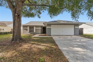 1615 COBBLER DRIVE, LUTZ, FL 33559 - MLS#MFRTB8463419