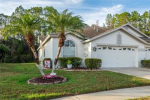 1627 Sassafras Dr, WESLEY CHAPEL