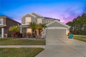 30419 Princess Bay Dr, WESLEY CHAPEL