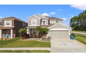 30419 PRINCESS BAY DRIVE, WESLEY CHAPEL, FL 33545 - MLS#MFRTB8463434