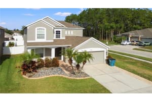 30419 PRINCESS BAY DRIVE, WESLEY CHAPEL, FL 33545 - MLS#MFRTB8463434