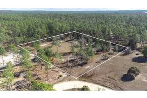 5555 MUSLIN TERRACE, DUNNELLON, FL 34433 - MLS#MFRTB8463436