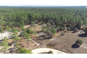 5555 MUSLIN TERRACE, DUNNELLON, FL 34433 - MLS#MFRTB8463436