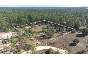 5555 MUSLIN TERRACE, DUNNELLON, FL 34433 - MLS#MFRTB8463436