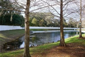 3567 HIGH HAMPTON CIRCLE, TAMPA, FL 33610 - MLS#MFRTB8463473