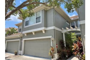 3342 COVERED BRIDGE DRIVE, DUNEDIN, FL 34698 - MLS#MFRTB8463476