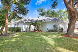 4411 Hollow Branch Ct, TAMPA