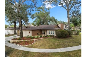 14801 OAK VINE DRIVE, LUTZ, FL 33559 - MLS#MFRTB8463529