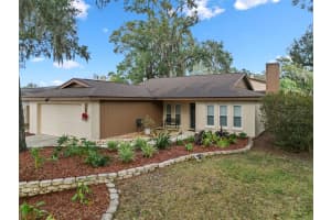 14801 OAK VINE DRIVE, LUTZ, FL 33559 - MLS#MFRTB8463529