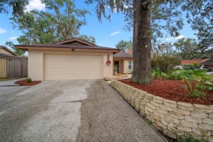 14801 OAK VINE DRIVE, LUTZ, FL 33559 - MLS#MFRTB8463529