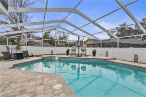 6528 STEEPLECHASE DRIVE, TAMPA, FL 33625 - MLS#MFRTB8463532