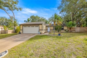 2943 HANNA COURT, PALM HARBOR, FL 34684 - MLS#MFRTB8463612