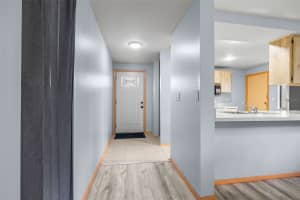 2943 HANNA COURT, PALM HARBOR, FL 34684 - MLS#MFRTB8463612