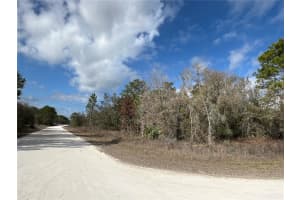 16165 COURLAN ROAD, BROOKSVILLE, FL 34614 Sold 01/27/26