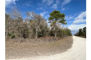 16165 COURLAN ROAD, BROOKSVILLE, FL 34614 Sold 01/27/26