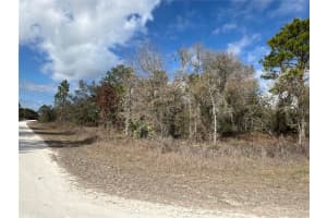 16165 COURLAN ROAD, BROOKSVILLE, FL 34614 Sold 01/27/26