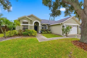 11417 PALM PASTURE DRIVE, TAMPA, FL 33635 - MLS#MFRTB8463683