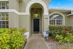11417 PALM PASTURE DRIVE, TAMPA, FL 33635 - MLS#MFRTB8463683