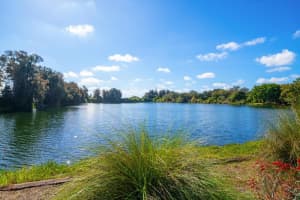 2402 PINE HAMMOCK, CLEARWATER, FL 33764 - MLS#MFRTB8463686