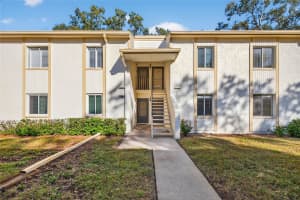 219 PALMETTO COURT, OLDSMAR, FL 34677 - MLS#MFRTB8463698