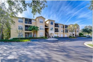 5125 PALM SPRINGS BOULEVARD, TAMPA, FL 33647 - MLS#MFRTB8463720