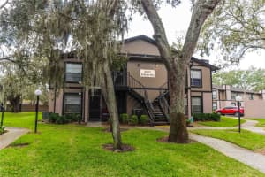 4009 NESTLE OAKS PLACE, TAMPA, FL 33613 - MLS#MFRTB8463784
