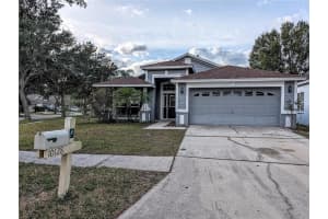 10128 Heather Sound Dr, TAMPA