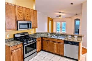 10128 HEATHER SOUND DRIVE, TAMPA, FL 33647 - MLS#MFRTB8463791