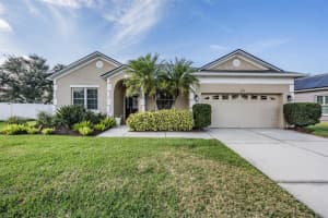 3747 RED BLUFF COURT, LAND O LAKES, FL 34639 - MLS#MFRTB8463792