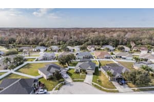 3747 RED BLUFF COURT, LAND O LAKES, FL 34639 - MLS#MFRTB8463792