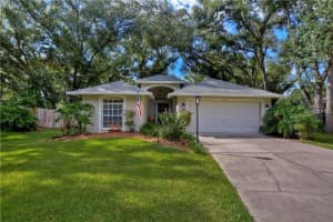 4611 Hidden Shadow Dr, TAMPA
