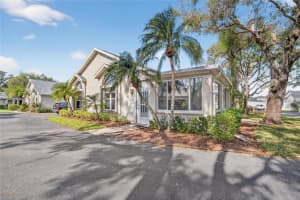 1111 GOLFVIEW WOODS DRIVE, SUN CITY CENTER, FL 33573 - MLS#MFRTB8463820
