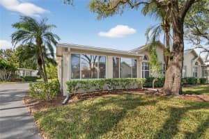 1111 GOLFVIEW WOODS DRIVE, SUN CITY CENTER, FL 33573 - MLS#MFRTB8463820
