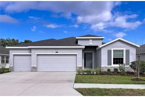 10609 LAXER CAY LOOP, SAN ANTONIO, FL 33576 - MLS#MFRTB8463848